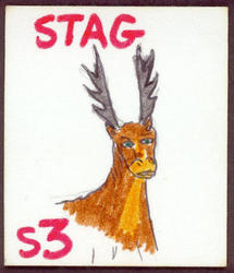 stag.jpg